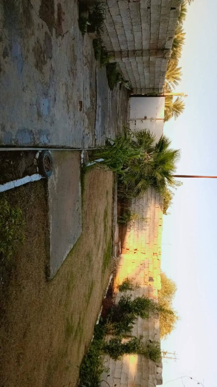 بيت للبيع في منطقة الكويت مجاور جامع عائشة عقد 17متكون من صالة ومطبخ وغرفة وصحيات  سعر45وبي مجال المساحة 320مترهاتف***********
