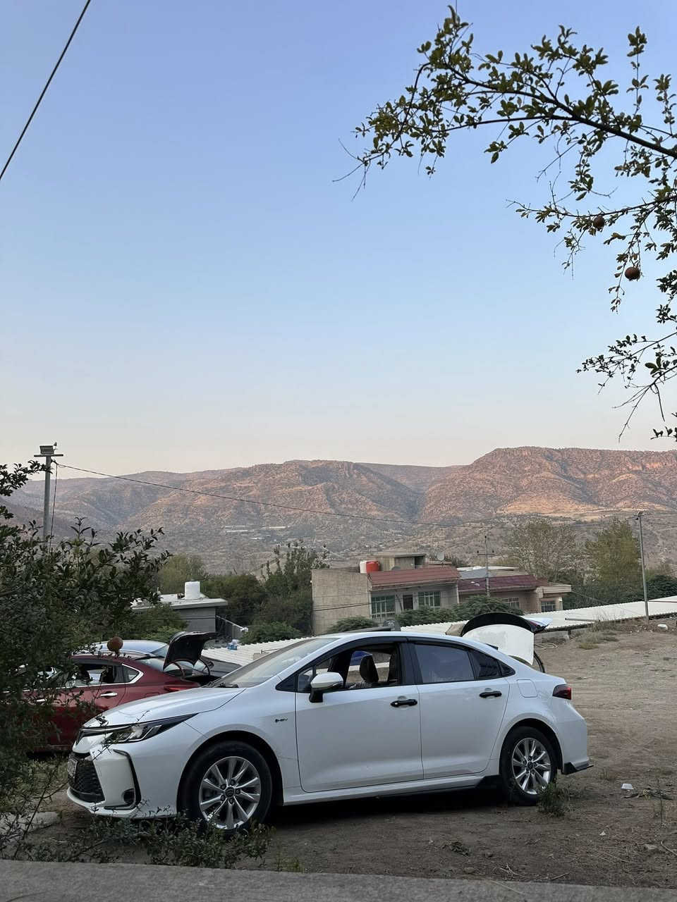 السلام عليكم
كورلا موديل 2024 

ماشيه 60 الف 

السياره فول للأخير 

كشنات جلد احمر 

بطاين بوب حمر 

السياره عليه اضافات 
لحايه جانبيه 

دڤيوزر trd سبايدر trd 

مضله جامه خلفيه 

مطريات كورلا الاصليه 

سكوبات مثلثات 

بصمتين كفر بصمه trd

عليه ستتم اناره محيطيه يشمل الدشبول والابواب الاربعه ومقابض الابواب وحاملات الاكواب والارضيه 4 كراسي متغير الالوان 

السياره بيه بارد بسيط بالجنطه موصخ الصور الطخه وسويته ممبينه 

مكان السياره الحله 

السعر 156 وبي مجال اخوان بلا كسران ميعجبك السعر اعبر المنشور السياره كلش حلوه وهواي مصروف عليه 

***********
