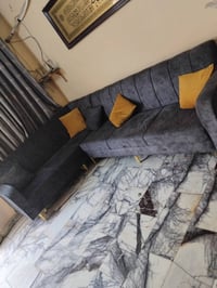 ديوان • اسفنج طبي • الحرية