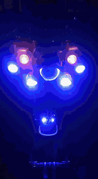 متاح موديل 16 بلادية محرك 19 اخرس اوراق اصولي ورقة وكيل بيهة شاصي و اوراق كفالة شغالة وكاملة كلهة مال جناي على ايد وحدة للاتصال *********** مكاني بابل سدة الهندية
