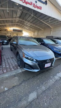 التيما امريكا • شمالي • بدون شواصي