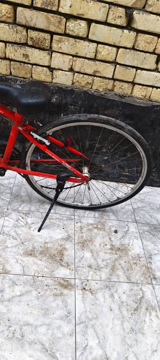 السلام عليكم ورحمة الله وبركاته
بايسكلات للبيع 

الواحد على الاحمر ب125

والأخضر ب 150
الاسود ال20 ب 130


**إذا كنت صاحب هذا الإعلان وتريد حذفه لأي سبب، رجاءا أرسل رسالة إلى الدعم الفني**