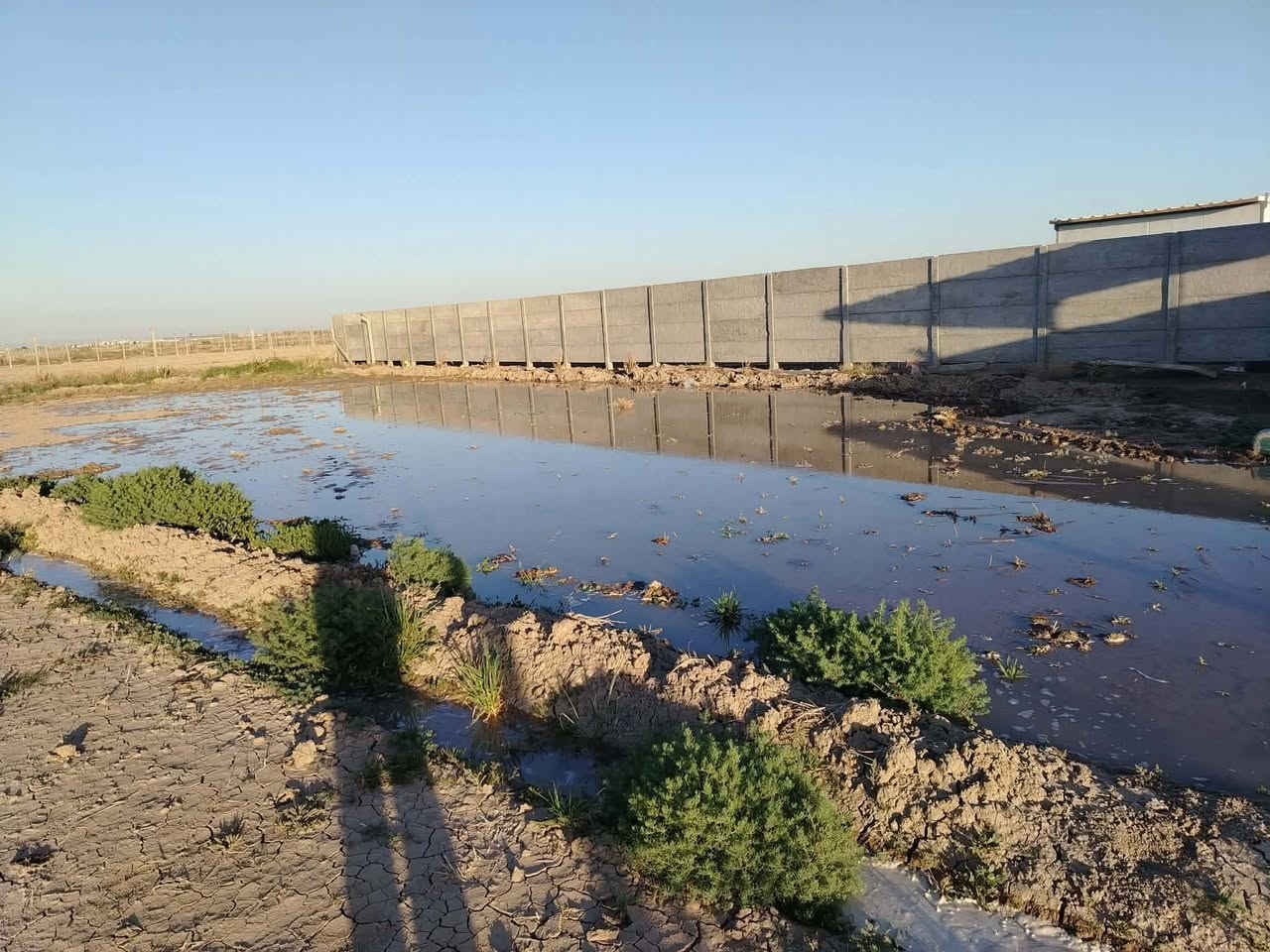 📢 دونم للبيع – فرصة مميزة  

📍 الموقع: النيل، قرب جامع موسى الكاظم  
📄 النوع: طابو زراعي (سند 25)  
💰 السعر: 60 مليون (قابل للتفاوض)  

🔌 الخدمات متوفرة:  
✔️ ماء  
✔️ كهرباء  

📞 للاستفسار والمزيد من التفاصيل، يرجى التواصل على الخاص


**إذا كنت صاحب هذا الإعلان وتريد حذفه لأي سبب، رجاءا أرسل رسالة إلى الدعم الفني**