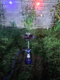 نركيلة • المانيا • طعم