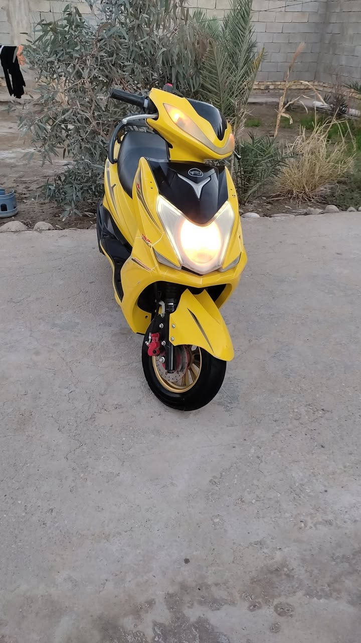 السلام عليكم شباب دراجه  سكنس فحل مديل 24 جاهزه نكره سلف هندر كرهبيات بريكات دسك تواير باتري كله جاهزه وسريعه كلش وناعمه الله شاهد دراجه خير من الله السعر 400 وبيه مجال عنواني قضاء الرفاعي *********** واني بل خدمه
