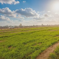 أرض زراعية • حلة بابل • ٢ دونم