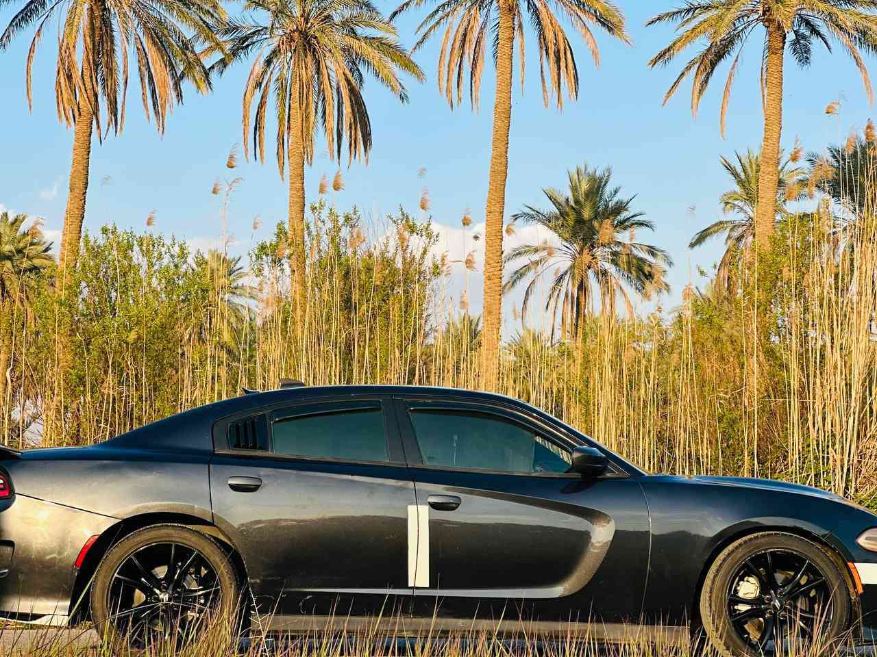 للبيع مستعجل على بيعتهة
جارجر ارتي معروفه موصفاتهة 
 موديل2016  مكينهV6 
3.6 سلندر وارد امريكي
 رقم دولي بغداد سيارة بسمي هزة جديدة تو ويل سيارة 
كشنات جلد حضن كهربائيّ  داخل احمر شاشه تدعم  كار بلي تحكم سرعه بنيد فتحه فافون
تشغيل عن بعد ماصدة ابيض منضونه زنون   
سقف روز رايز انارة بلئبواب
سيارة مكينه كير كفاله حداديه اماميه وخلفيه جديدة
 تبريد ثلج
 تخم تاير مصار شهر من شادة ويل حجم 20انج  
 حادثهة قطقتين  دواخل مابيهة 
سعر 165وبيهه مجال شراي عيوني الة
مكان سيارة بابل ***********
