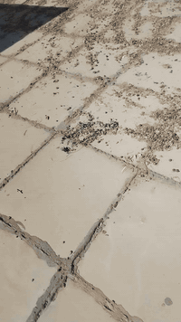 ستوتة • رفع انقاض • تنظيف سطوح