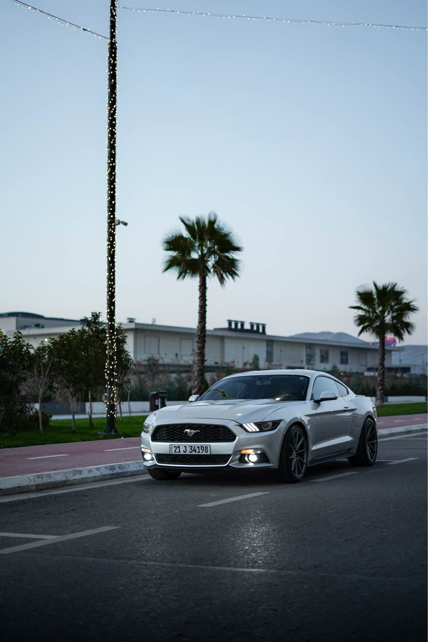 Ford Mustang 2016 V6

مكان السيارة : السليمانية 
السيارة باقية ع وضع الشركة
ماشية  ٩٧ الف
سبويلر بلادي
بلجكترات بلاد
‏LED اوراكل سموك
دواخل السيارة كلش نضيفة
اضافة شفتات استيرن اسود
السيارة نضيفة و مابي مصرف
سستم صوت صالنصة HT power
ويالة فوزن 20 تو سايز
سيرفس جديد
دهن مكينة و كير جديد مبدل
دسكات جديد
صبغ : قطعتين بخ ، بنيد و نص جاملغ خلفي صبغ
السيارة بسمي 
سعر السيارة ١٤٨$
واتساب : ***********

Shwen : slemani 
 
* Lasar daqy belad mawatawa
* 97 hazar roshtwa
* Bali beladi
* Blajktor belad 
* LED oragly smok
* Nawaway sayaraka zor jwan w pak mawatawa
* Battle-shift rash
* Sayaraka pak w be masrafa
* System sawty salonsa HT power
* Wheel VOSSEN 20 y 2 size
* SERVICE y taza bo krawa
* Roni makina hydraulic y ger hamw shteki taza bo gorawa   
* Banawi xomawaya

Boyax : 2 chamlxi pesh pampa ,bonit  + new chamlxi dwawa boyaxa .

Banawi xomawaya

Nrx : 148$
WhatsApp : *********** السليمانية, العراق
