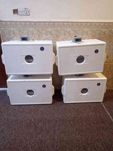 متاح
يوجد فقاسات من كفر فلين حجمين 150بيضه ب86الف و100بيضه ب76الف تقليب يدوي والرطوبه طبيعيه البصرة قضاءالمدينة لتواصل*********** توصيل جميع المحافظات العراق.
