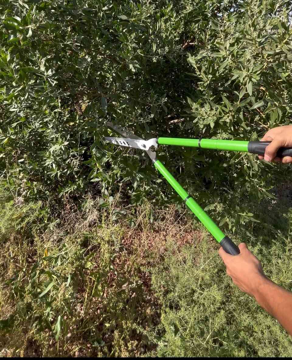 مقص الاشجار الحجم الكبير اول تم١٥


**إذا كنت صاحب هذا الإعلان وتريد حذفه لأي سبب، رجاءا أرسل رسالة إلى الدعم الفني**