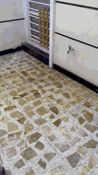 بيت طابق ثاني بحي دجله مساحه 100متر للايجار للاتصال ***********
