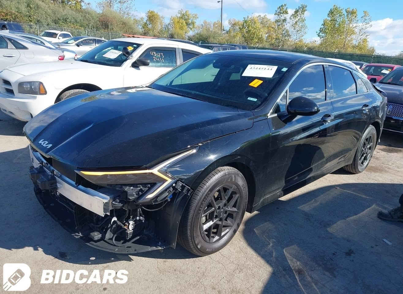 نوع السيارة: كيا k5
الموديل : 2025
العداد: 6الاف
 
للأستفسار :
***********
قسم المزاد والبيع متوفر واتساب 
https://chat.whatsapp.com/EjN99lklvszHKKEmF0UnR7?mode=gi_t
‏سرعة في الشحن واسعار تنافسية في النقل
‌‎يتوفر لدينا نقل على جميع موانئ ومنافذ العراق 
‌‎تخليص وايصال السيارة الى جميع المحافظا
