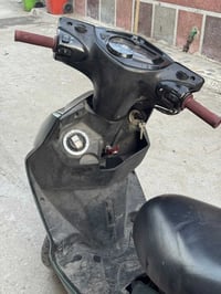 فحل • مرقم ياباني • تحويل ثاني يوم