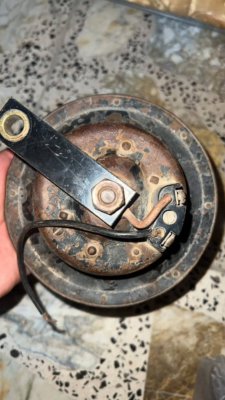 السلام عليكم هورنات لبيع عنج الأماني  وات ساب فقط *********** سعر 300
