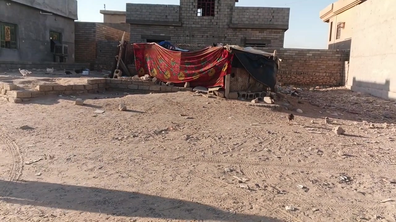 قطعه ارض للبيع  المالحه الغربيه ورا بيوت ابو رعد مباشر مساحه 500 بيها بتلو كامل بصف الركن خدمات واصلها 

للاتصال ***********

***********

