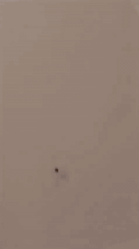 شغال صبغ درجة اولى وديكورات داخل وخارج المصري ابو ياسين رقم الواتس اب ***********
