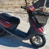 بطة منغولي • شاصي مكفول • تحتاج باتري