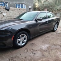 ٢٠٢١ • كراسي جلد • السماوه