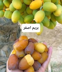 من كربلاء • نقل مسافرين • توصيل بضائع