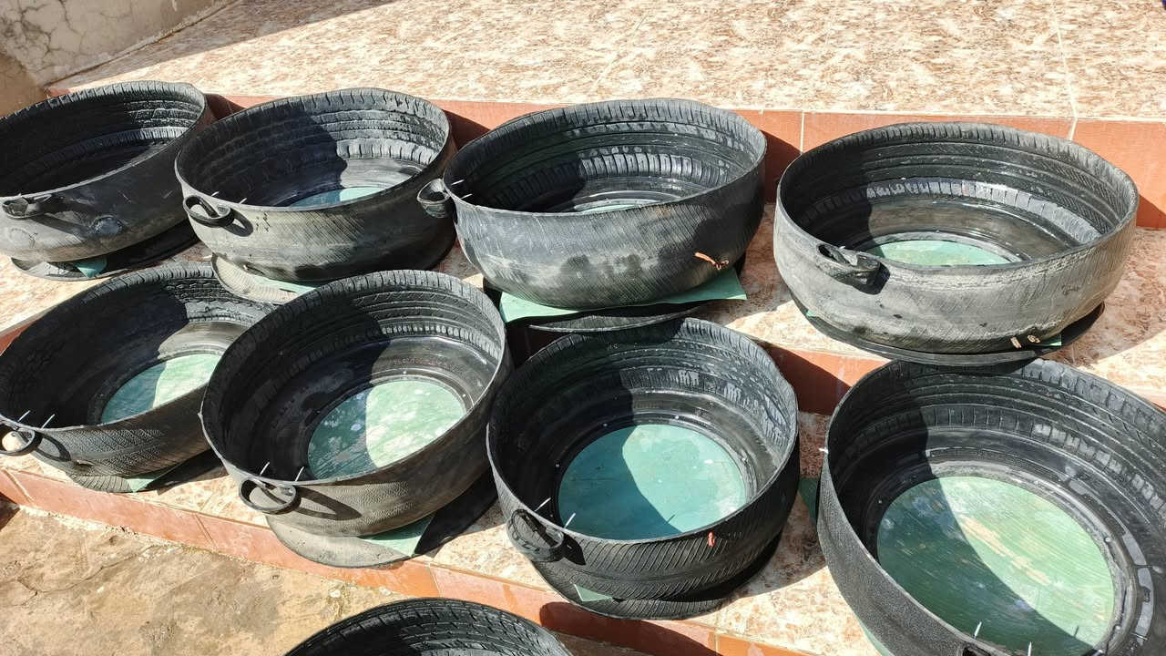 سلام عليكم ورحمة الله وبركاتة معالف البيع وجوابي حجم كبير شغل رقم واحد سعر المعلف 5 وسعر جابيه حجم كبير ب7 مكاني ناحية شوره التصال برقم ***********
