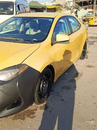 كورلا • ٢٠١٩ • رقم بابل