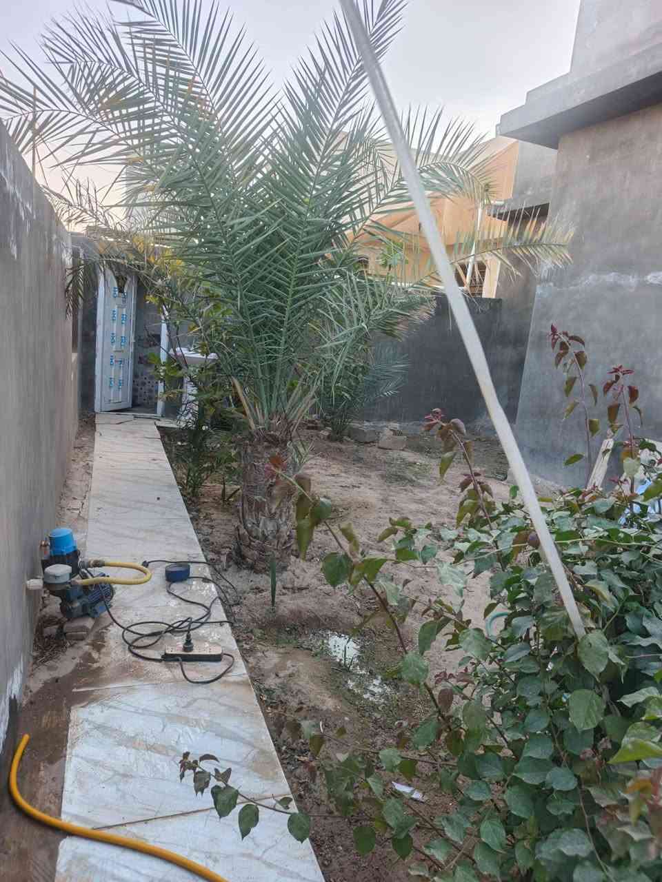 النجف.مجمع بيتي الثاني
شارع 60مقابل الاميرات الاولى
مساحه 260متر
ثلاث غرف نوم
البيت فارغ جاهز للسكن
سندطابو بااسم المالك
مكتب الاعمارالهندسي
***********
***********
