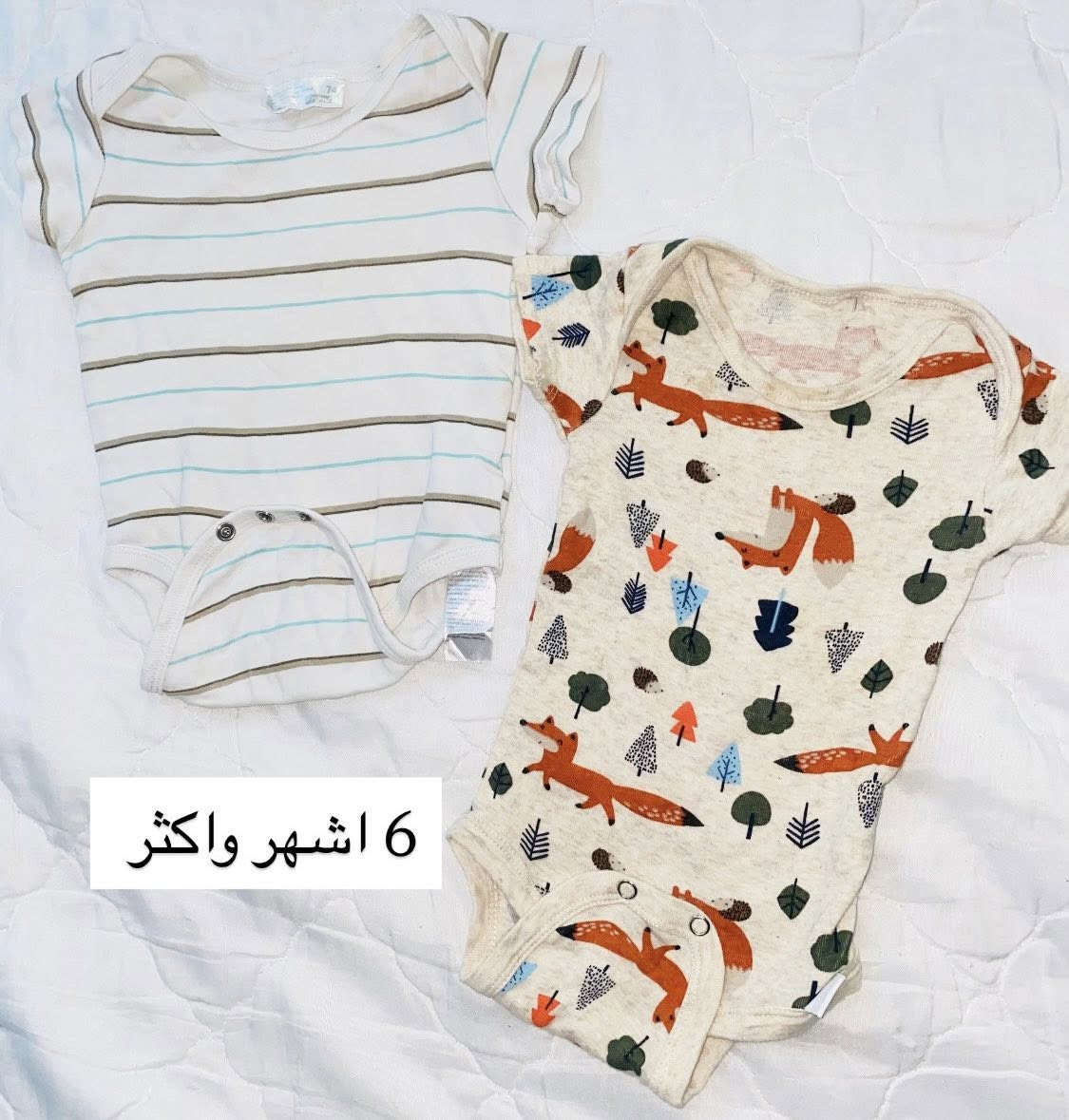 الاسعار مختلفة والقياسات هم 
توصيل داخل بسماية الف فقط 🤍


**إذا كنت صاحب هذا الإعلان وتريد حذفه لأي سبب، رجاءا أرسل رسالة إلى الدعم الفني**