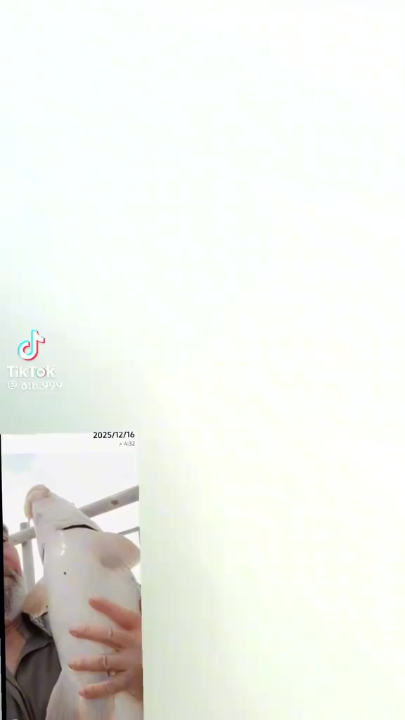 الحجز واتساب *********** السعر 14 طول1000متر حجم 40%50%60
