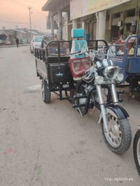 ستوته • مديل 23 • كفالة عامة