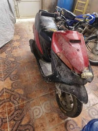 فراشة • نشطة • تحتاج غسل