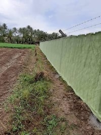 بيارسي • درجة أولى • جميع المحافظات