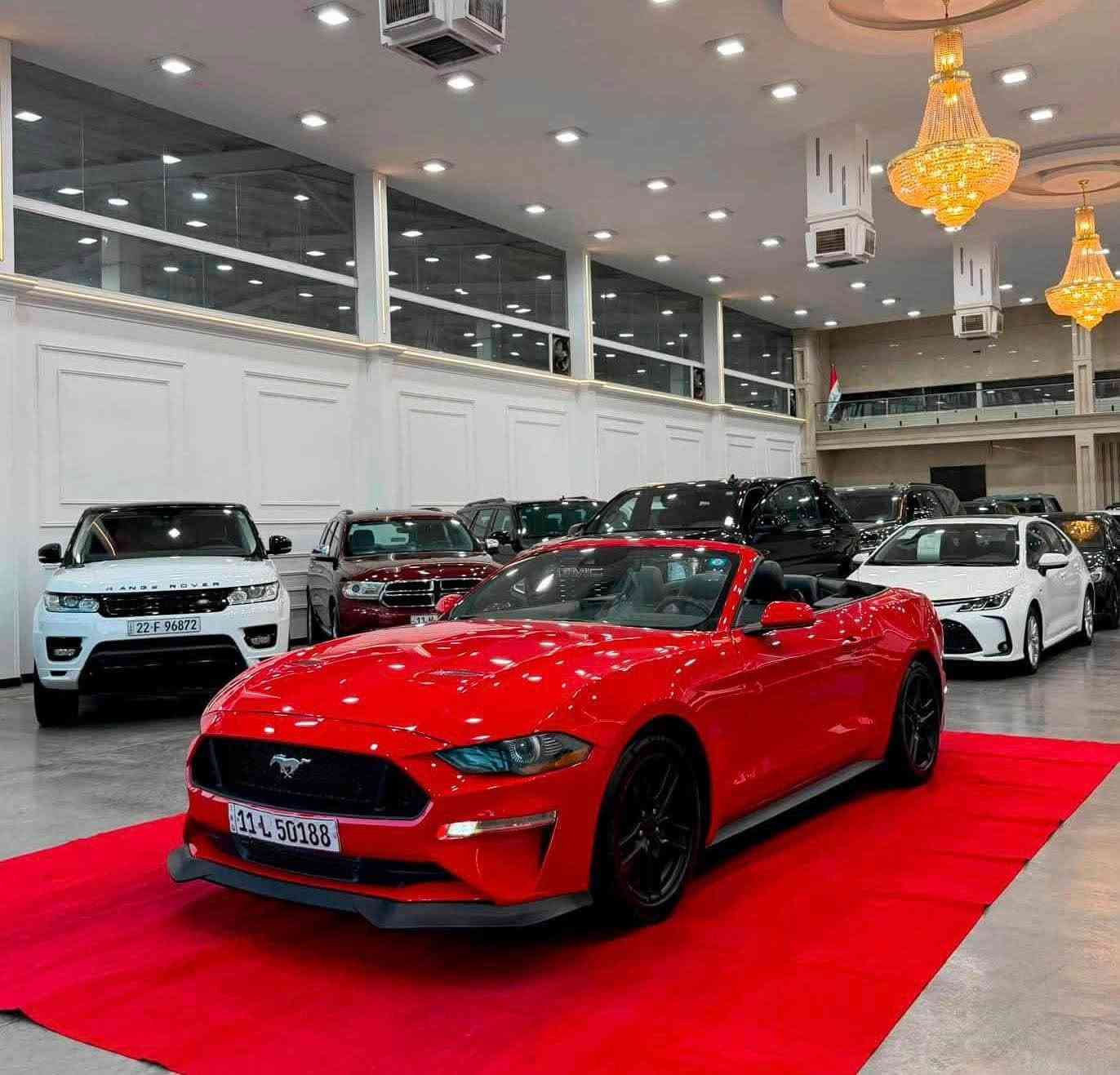 🏎️ فورد موستنج 2022 - بريميوم فول (كشف) للبيع 🏎️
🔹 المواصفات العامة:
 الموديل: 2022
 الفئة: بريميوم فول (كشف)
 المحرك: 4 سلندر 2300 تيربو (EcoBoost)
 المسافة المقطوعة: 52 ألف كم
🔹 المواصفات والاضافات:
 كشنات جلد (تدفئة + تبريد)
 كشنات تحكم كهرباء
 شفتات ستيرن للسرعة
 شاشة وكاميرا خلفية
 رادار أمامي + رادار جانبي
 حساس خلفي
🔹 حالة السيارة (الحادث):
 الحادث: جاملغ وبنيد
 التفاصيل: البنيد مستبدل نفس اللون، والجاملغ مصبوغ
💵 السعر: 145 ورقة ($14,500) وبيه مجال طيب للشراي
📍 العنوان: بغداد - الكاظمية
*********** بغداد, العراق
