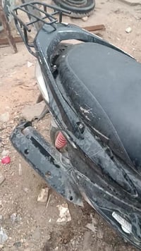 سكنس فحل • سلف • الحبيبية