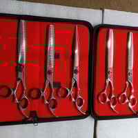 إكسيلو جلوبال • مستلزمات حلاقة • توزيع عالمي