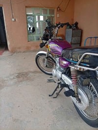 تايكر سونك • موديل ٢٥ • اوراق كامله