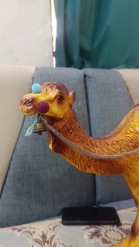 تحفة • ديكور منزلي • سوك الشيوخ