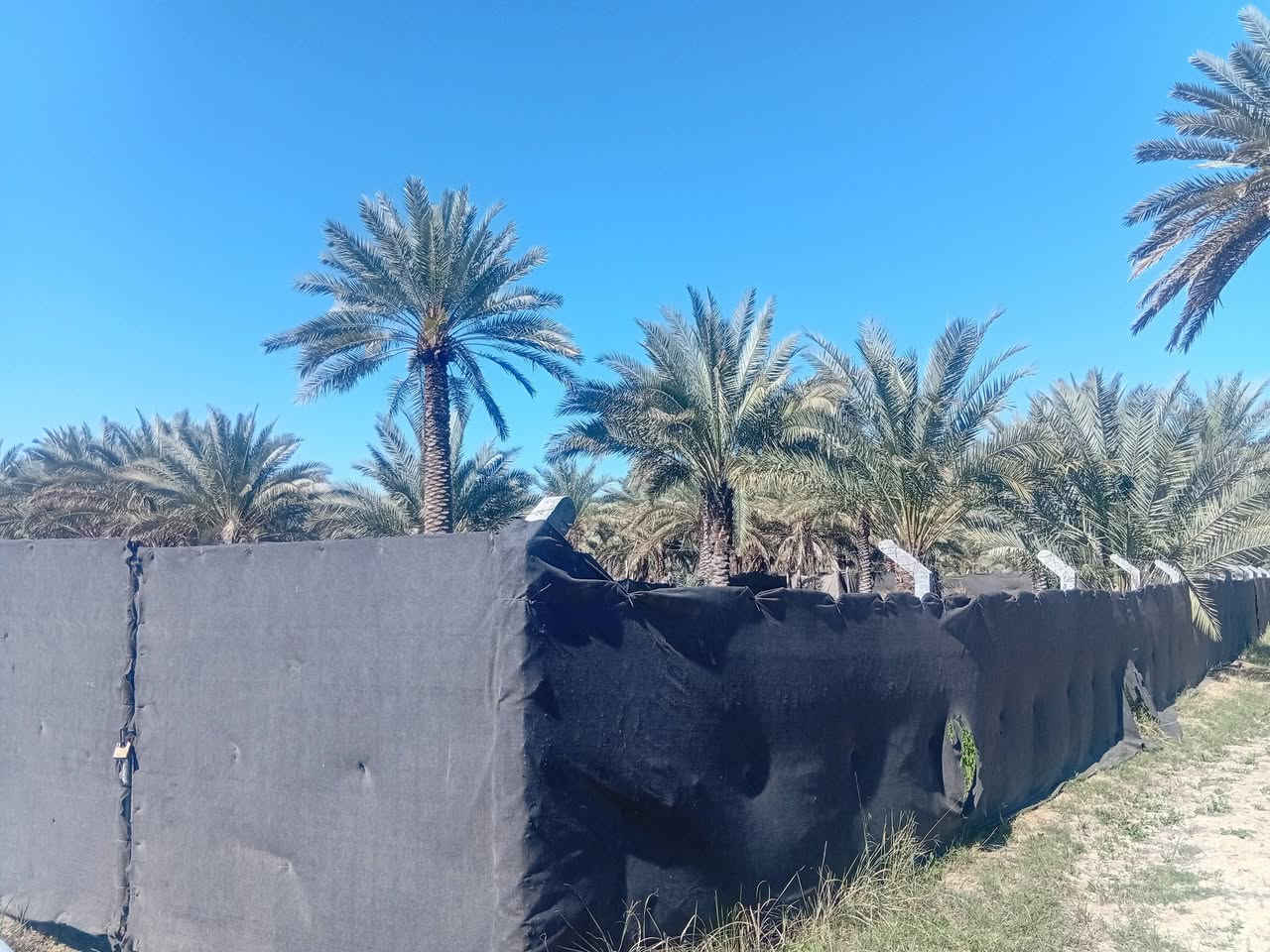 نص دونم للبيع المكان كربلاء طويريج الرشيده ربع ساعه عن الامام السعر ٥٠ / ***********
