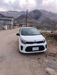 بيكانتو • ٢٠١٩ • أوتوماتيك