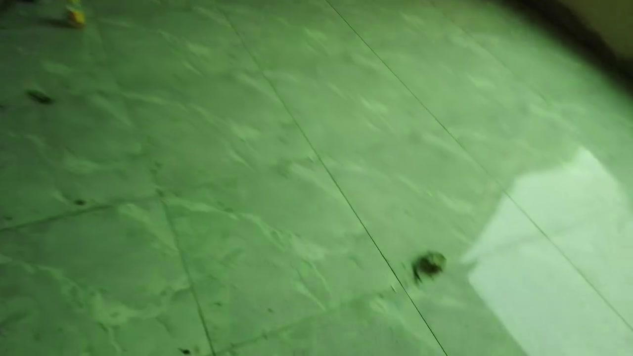 ***********

