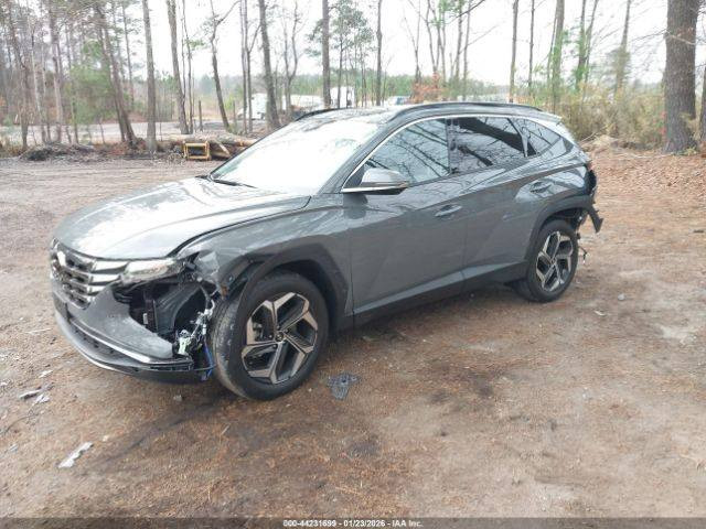 HYUNDAITUCSON LIMETED$$170
واصلة لبغداد كاملة بأسم المشتري على كتاب الشهداء مدفوع ضريبة وتعقيب ونقل 

لمتد فوووول مواصفات للأخير أعلى فئة

ب١٧٠ورقة فقط

لون أسمنتي المرغوب 

داخل جلد لون أسود ملكي 

بدون أيرباك ماشية ٢٣حقيقي 

السيارة موجودة واصلة بالعقبة بالأردن تريدها توصل لبغداد خلال يومين أو ثلاث أيام بإذن الله تعالى..

السيارة معروضة في مكتب شركة الجود للمزادات الامريكية لأستيراد ألسيارات وقطع ألغيار 

....للأستفسار 

العنوان بغداد حي القاهرة شارع الضباط مقابل حسينية آل الرسول

تلفون أو واتساب ***********
