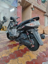 سكنس فحل للبيع مكفولة كفالة عامة  مكاني مدينة الصدر 07739946074