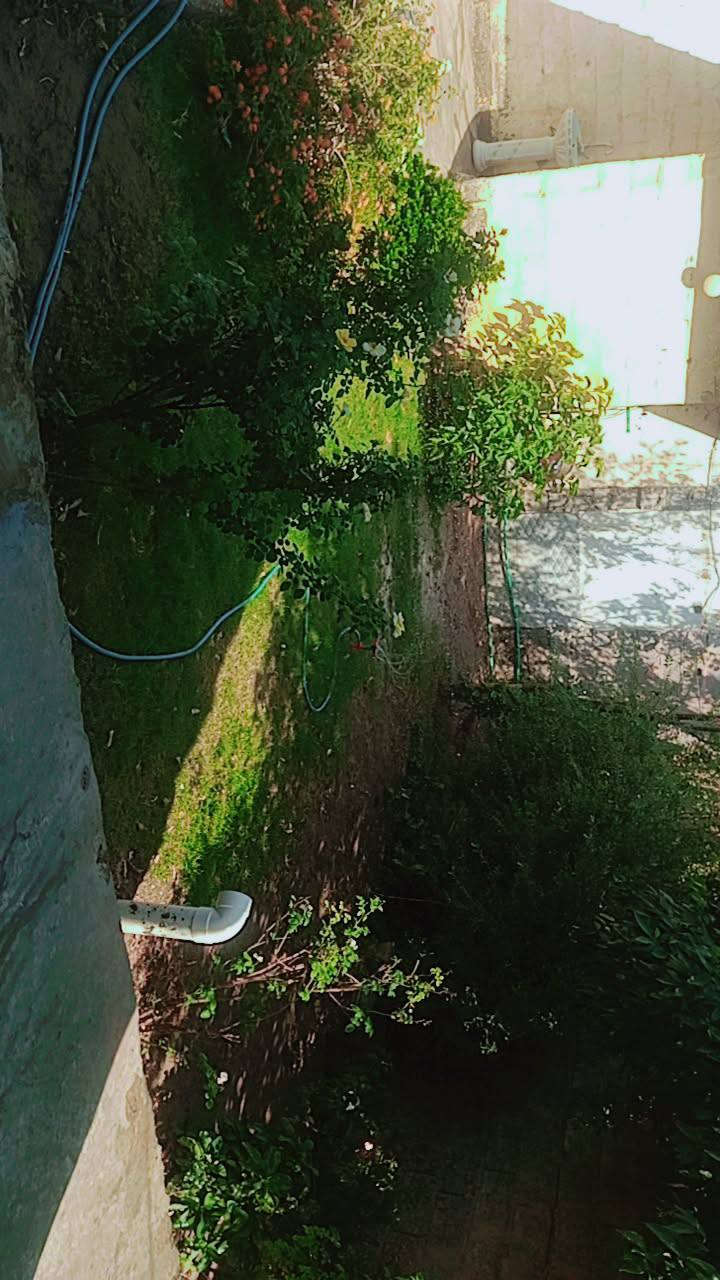 سلام عليكم بيت لبيع وره ضريح المتنبي مساحته 360 متر
***********
‏‪***********‬‏
