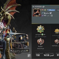 مراوس • إلكترونيات