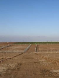 القوسيات فلفيل • دونم • سند ٢٥