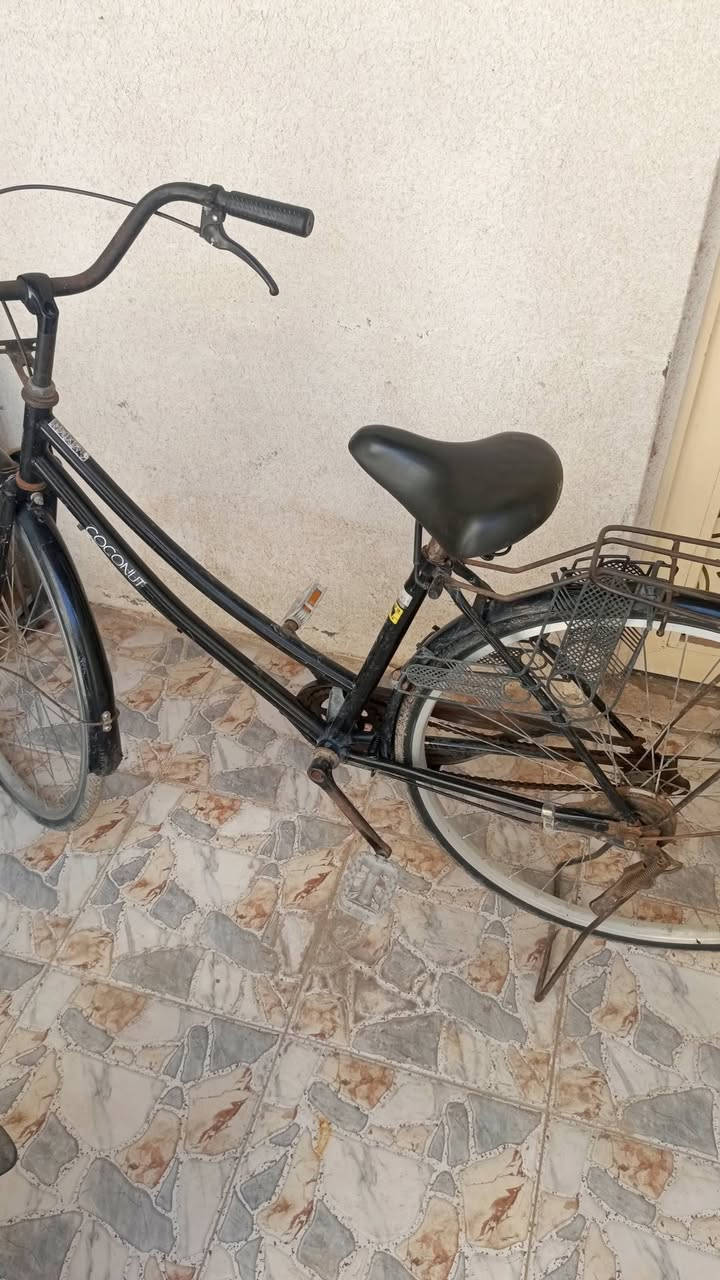 بايسكل ياباني حاوية قضاء الخضر السعر 65 وبي مجال


**إذا كنت صاحب هذا الإعلان وتريد حذفه لأي سبب، رجاءا أرسل رسالة إلى الدعم الفني**