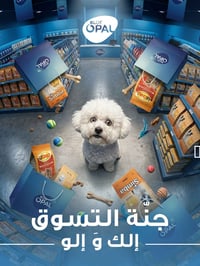 بلو أوبال • متجر حيوانات • أربيل