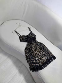 جلد نمر • بغداد