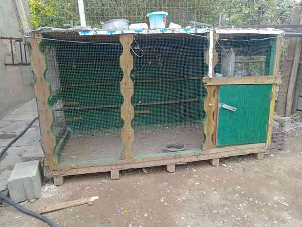 السلام عليكم موجود قفص للبيع الارتفاع 1م و10
ول عرض 1م و10
ول طول 2م و20
 الخشب درجه أوله.     للاستفسار. ***********
