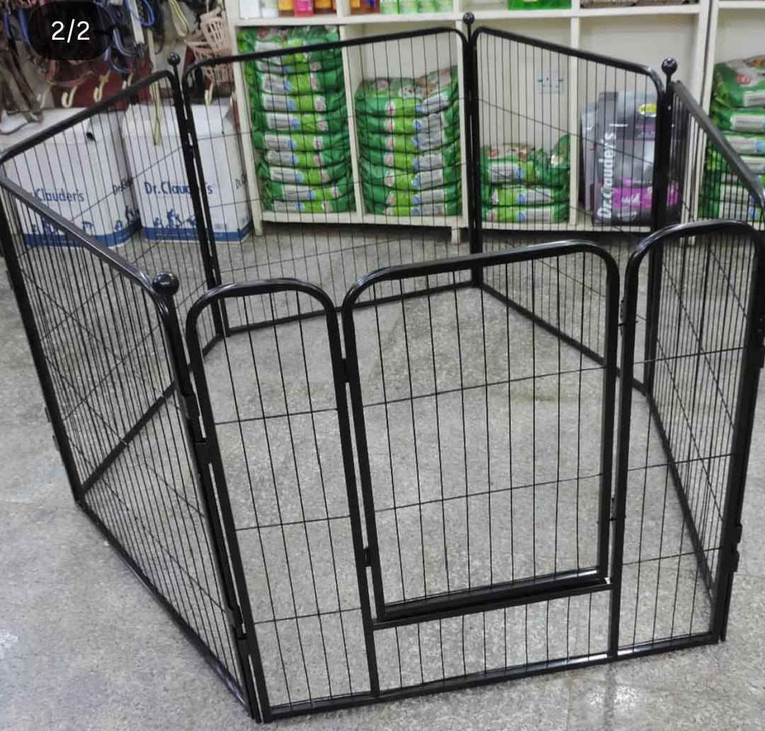 متوفر
كل القطع داخل المنشور سعرهن مناسب


**إذا كنت صاحب هذا الإعلان وتريد حذفه لأي سبب، رجاءا أرسل رسالة إلى الدعم الفني**